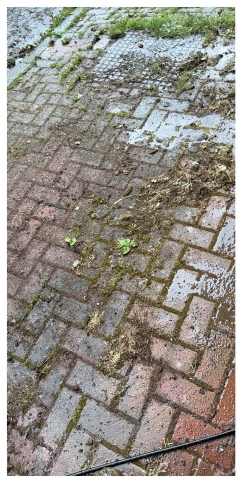 Block paving buried under moss and dirt