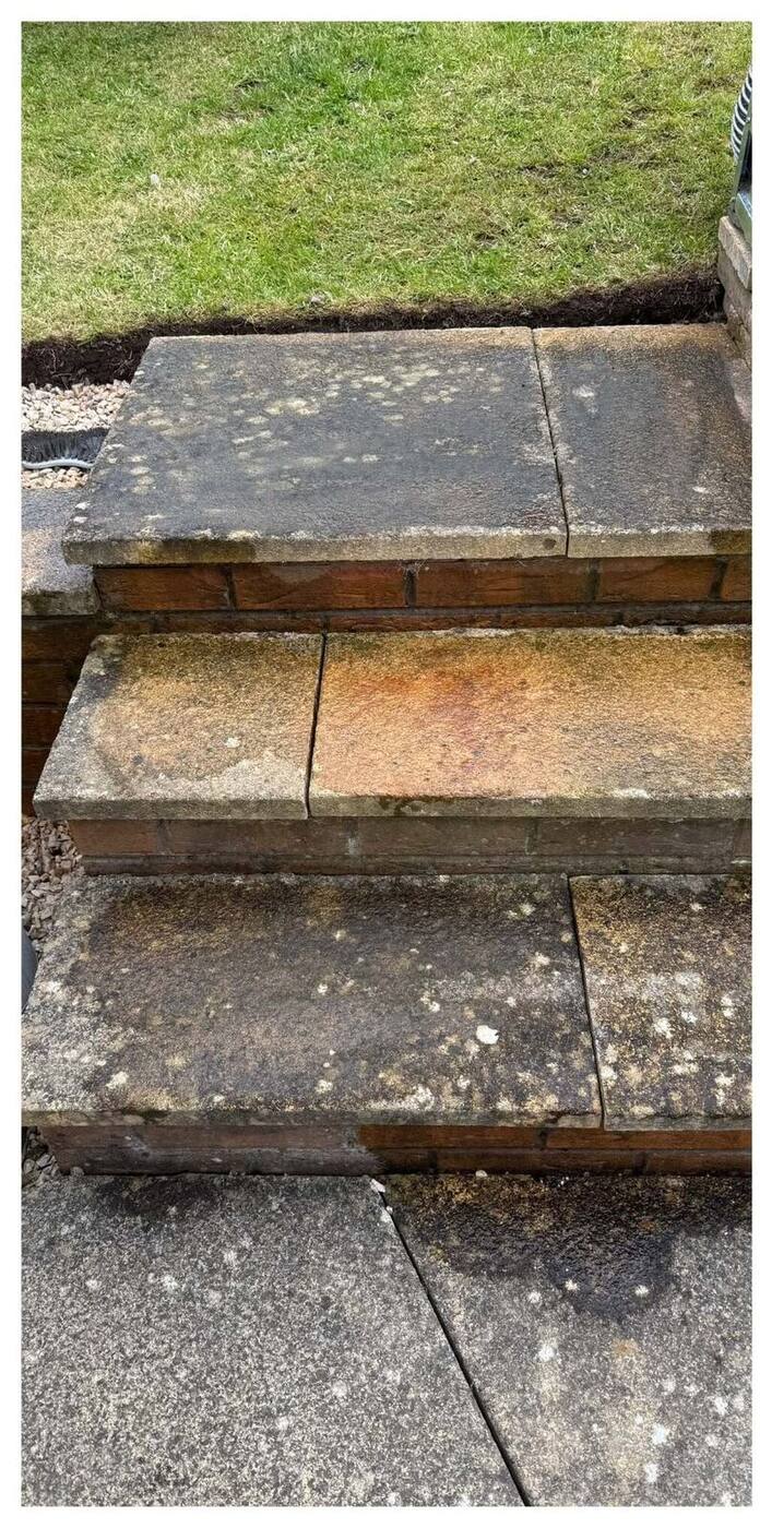 Garden steps blackened with lichen